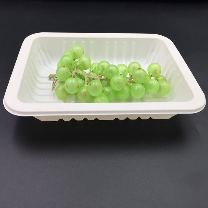 Biodegradable PLA Food Trays