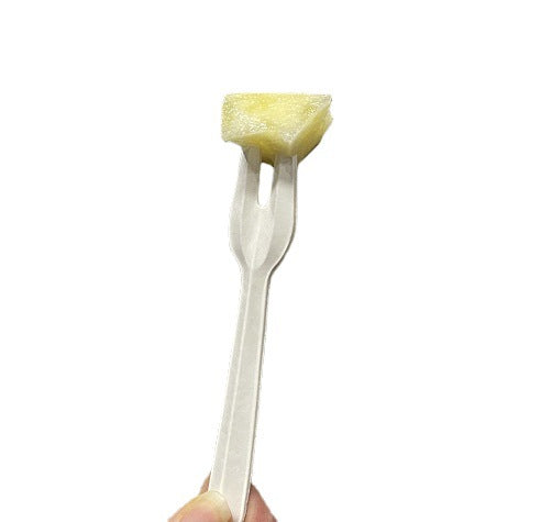 Compostable Sugarcane Fork