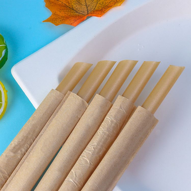Compostable  Wrapped Sugarcane Straws