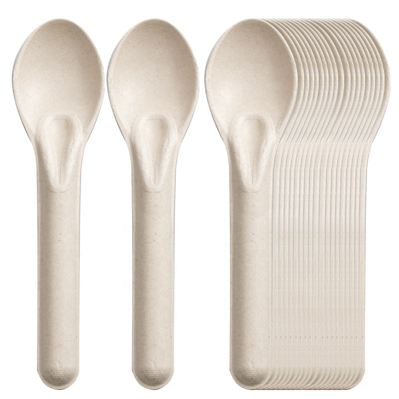 Compostable Disposable Spoon