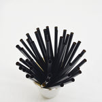 Black Biodegradable Compostable Straws