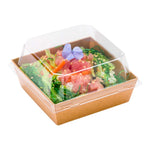 Compostable Paper Container For Sushi
